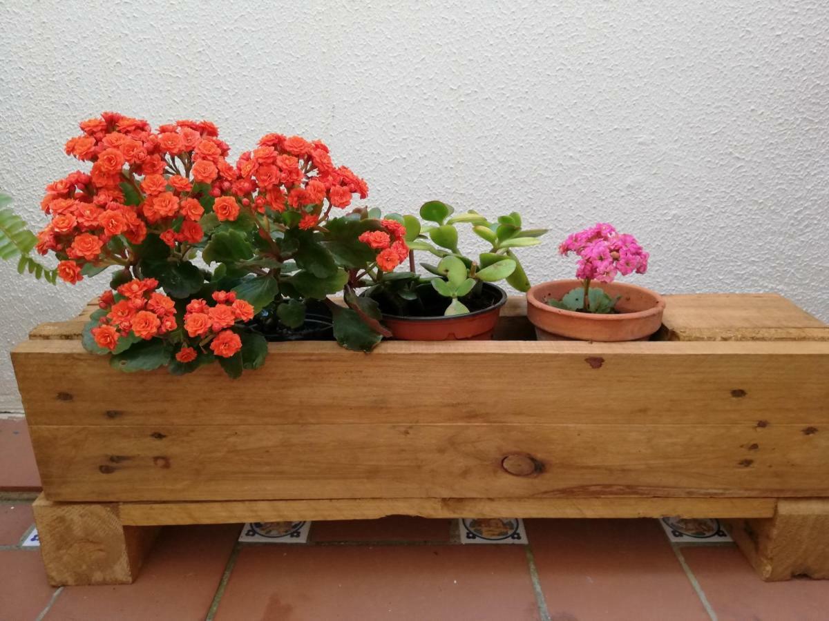 Apartamentos Coralba - Duplex Bahia De Cadiz サン・フェルナンド エクステリア 写真